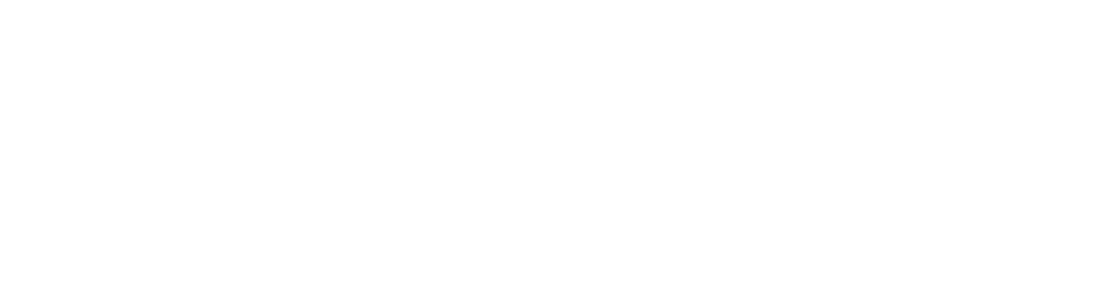 Medici Hollandse